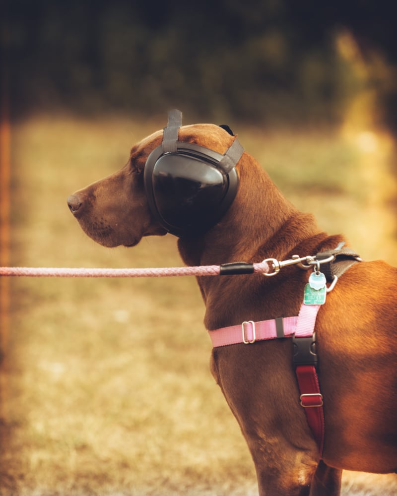 Monterey Car Week 2025-RM Sotheby's Preview