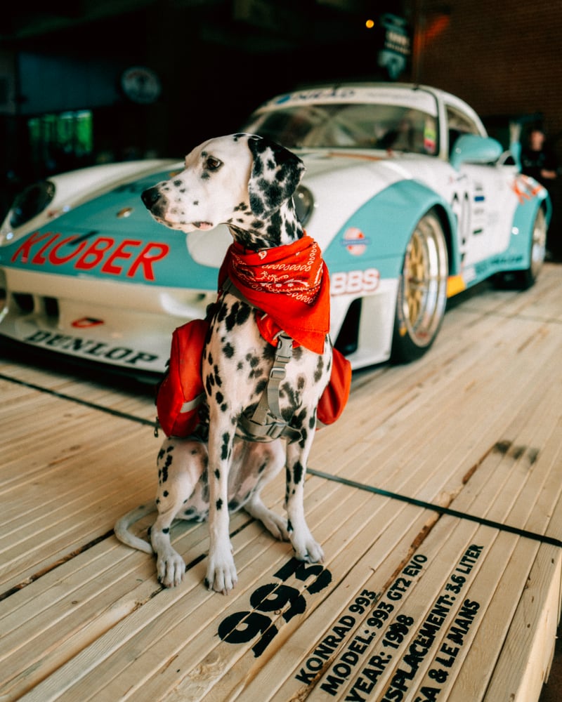 Luftgekühlt 11: The Film