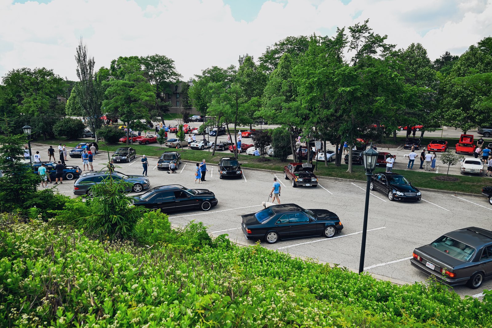 46DSC_9978-233 West Fuelfed Webres-46.jpg