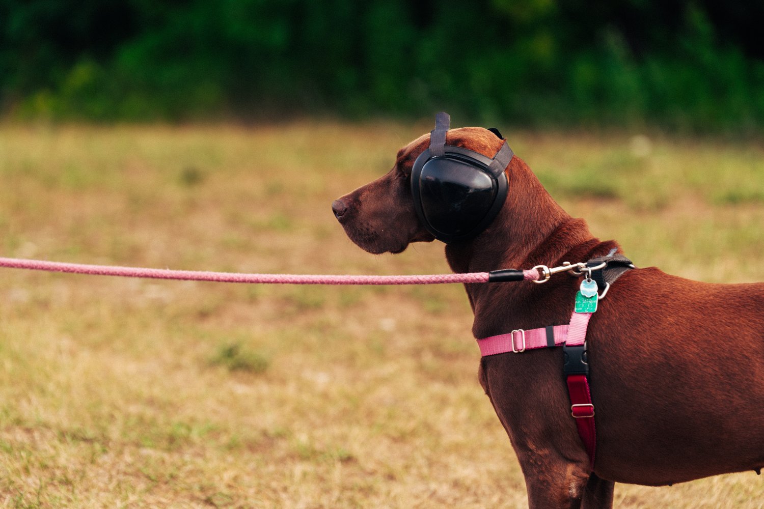 Monterey Car Week 2025-RM Sotheby's Preview