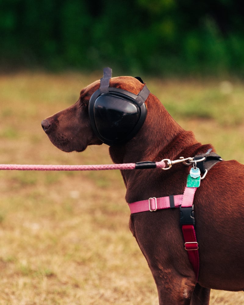 Monterey Car Week 2025-RM Sotheby's Preview