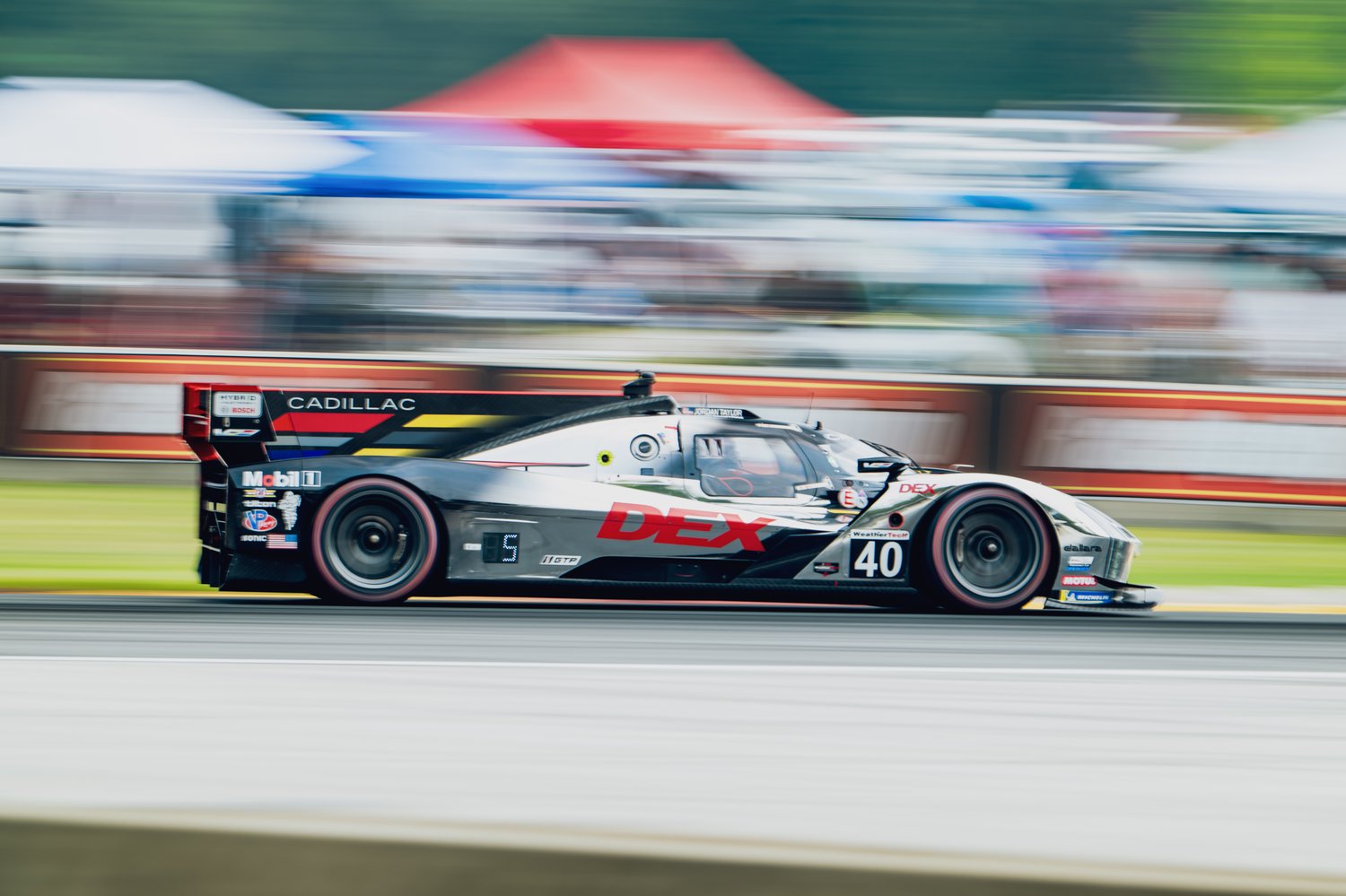 IMSA Sports Car Weekend 2025–Full Recap