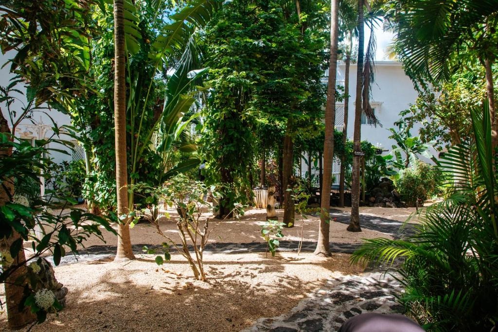Hibiscus Boutique Hotel
