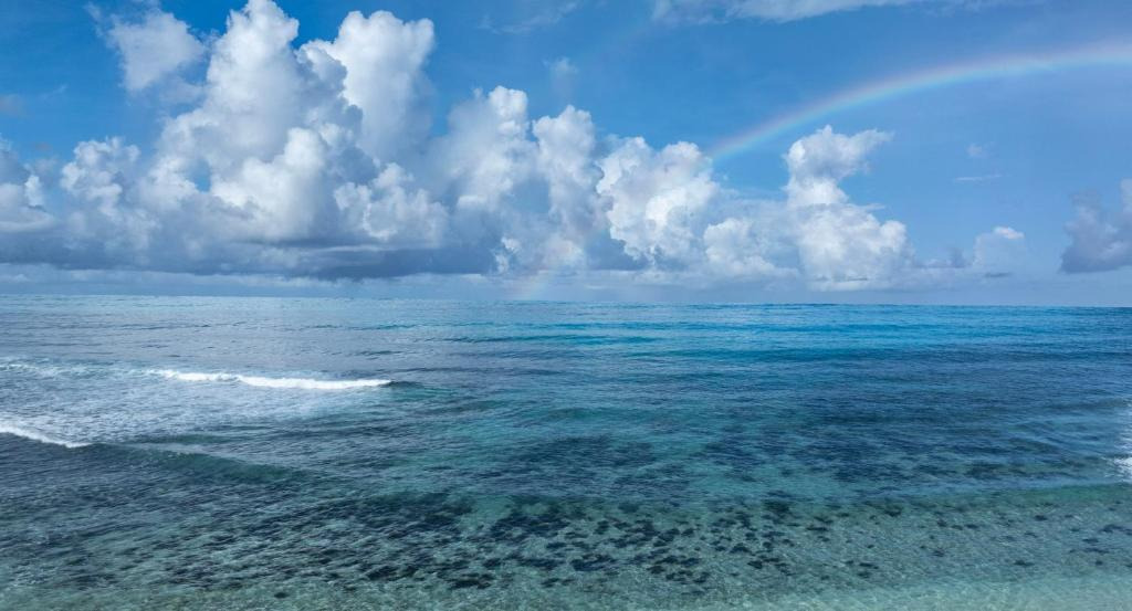 Avani Plus Barbarons Seychelles