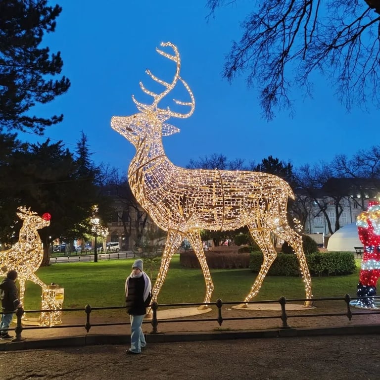 Winterfest - Zimski vašar u Subotici