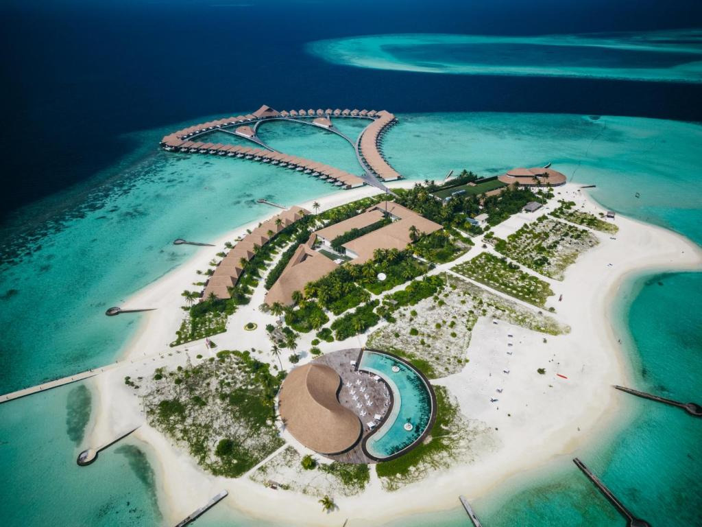 Cinnamon Velifushi