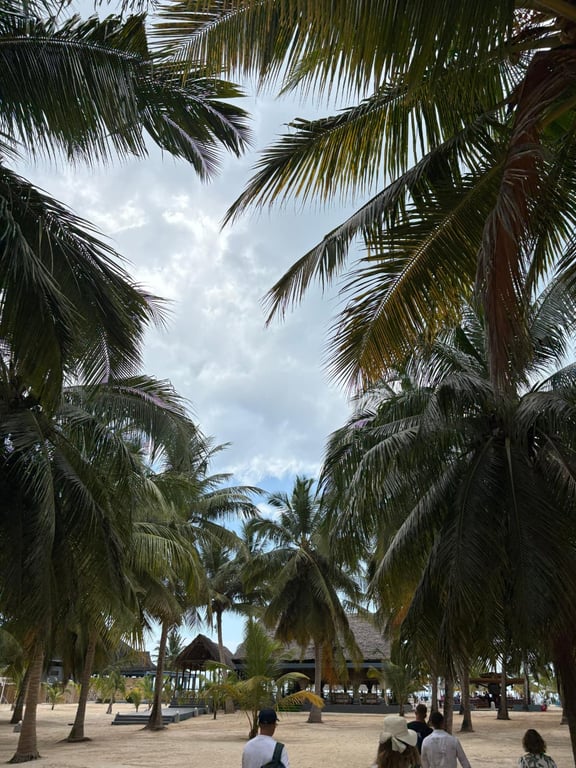 Zanzibar-MITREAT