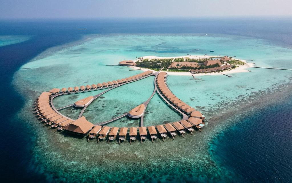 Cinnamon Velifushi