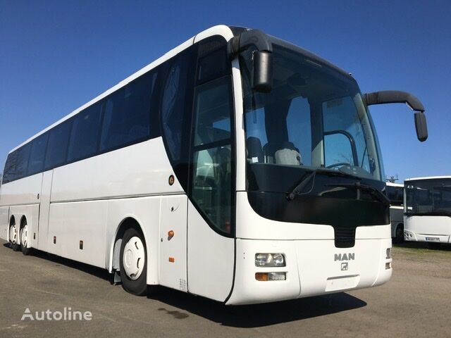 Autobus Euforija travel