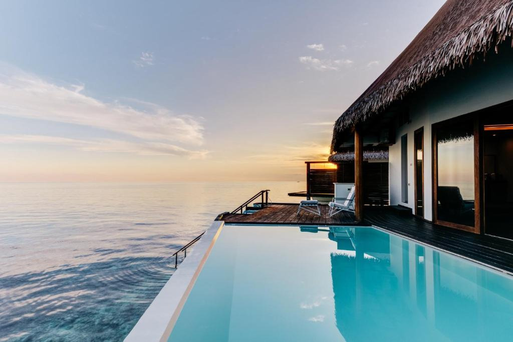 Cinnamon Velifushi
