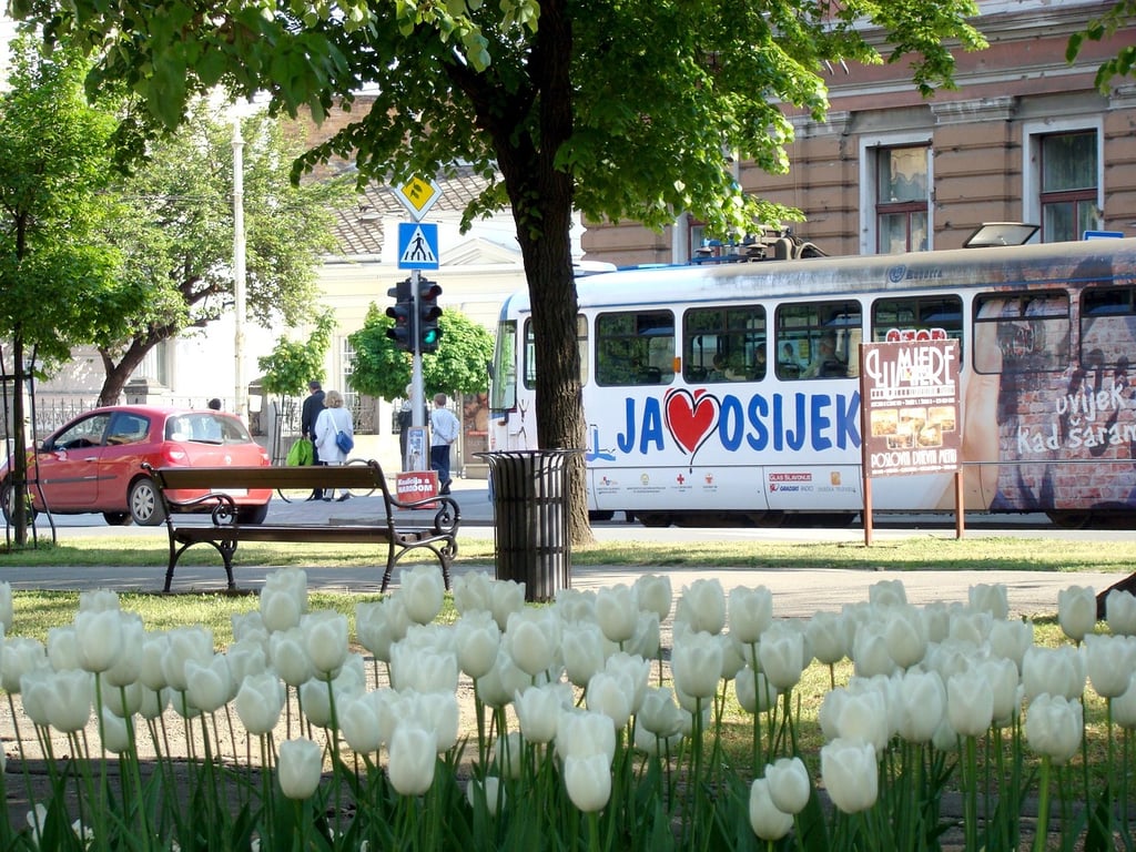 Advent u Osijeku
