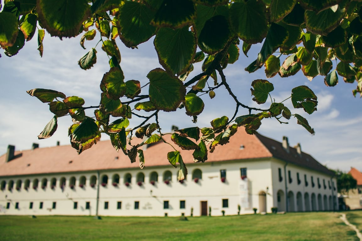 Advent u Osijeku