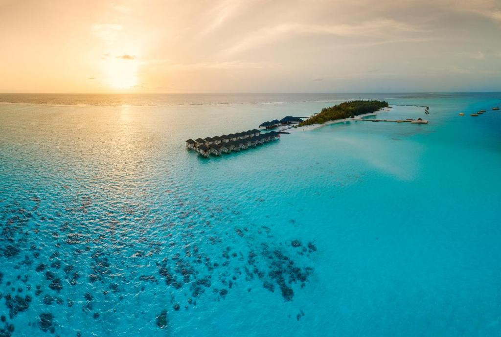 Summer Island