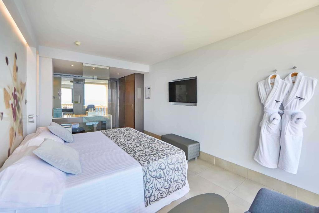 Hotel Barcelo Illetas Albatros