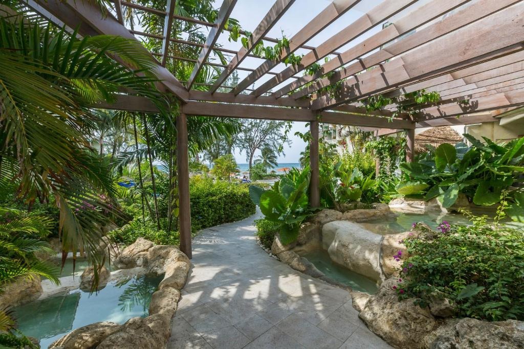 Bougainvillea Barbados