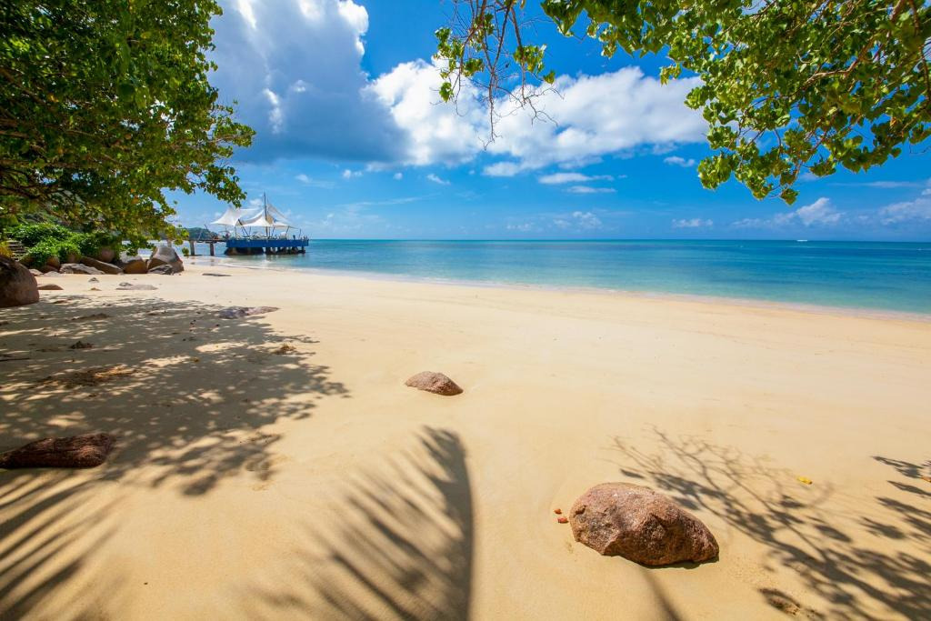 Coco De Mer and Black Parrot Suites