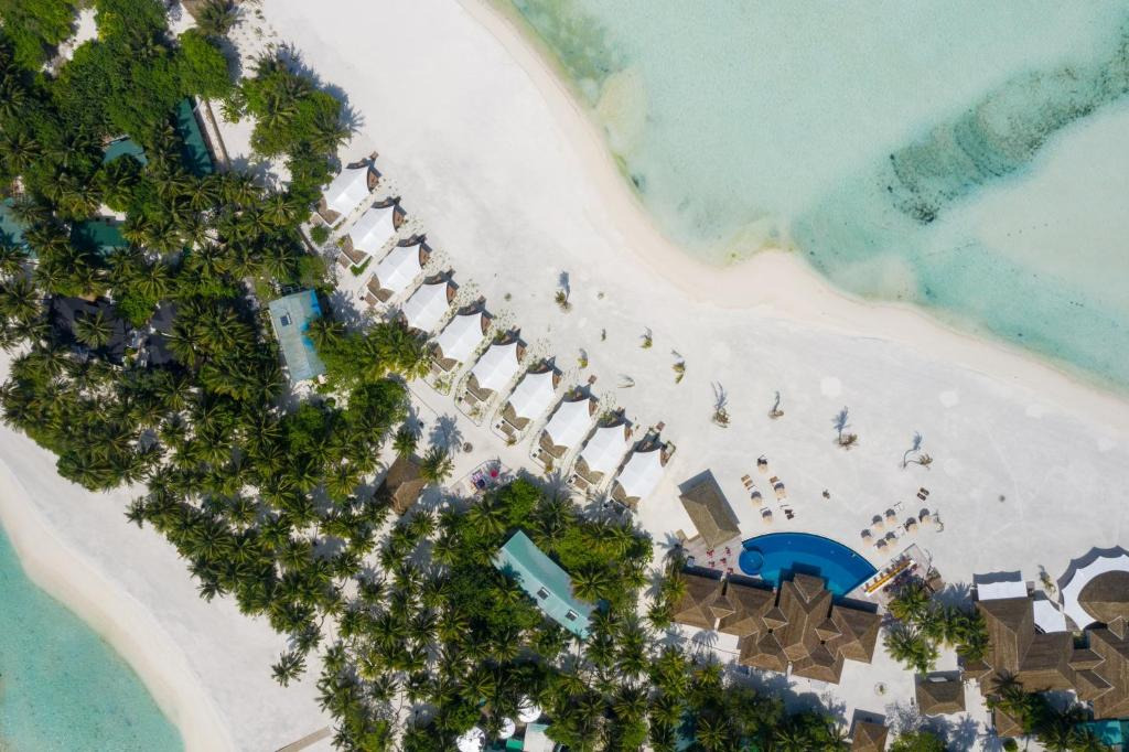 Cinnamon Hakuraa Huraa