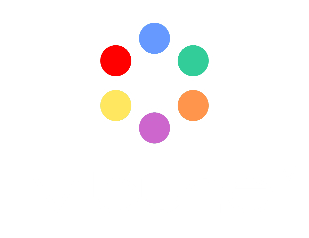 A ViBuNe Project