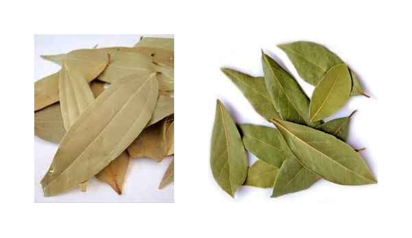 Bay Leaf (Tejpatta)