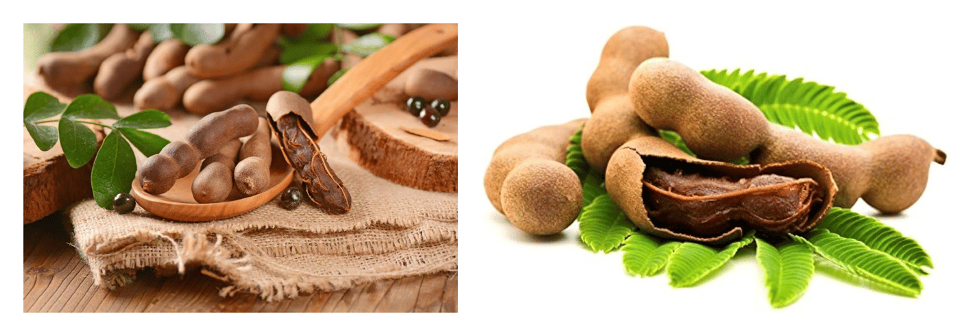 Tetoda Overseas Pvt. Ltd Spices