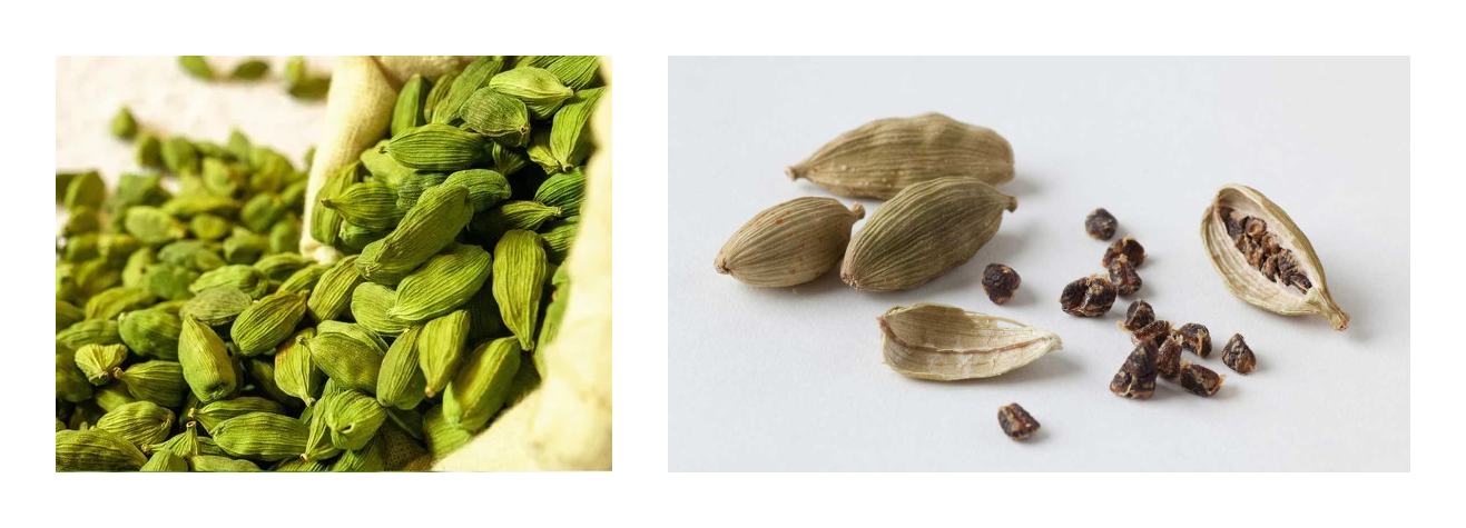 Cardamom