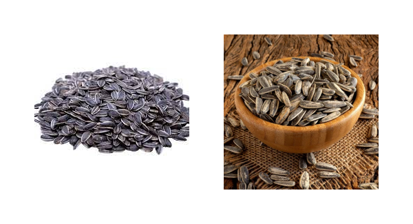 Tetoda Overseas Pvt. Ltd. 