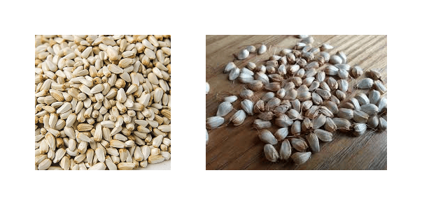 Tetoda Overseas Pvt. Ltd