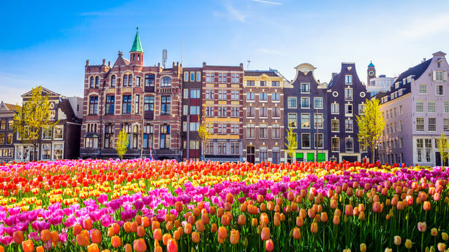 Photo of Amsterdam as a suggested top destination