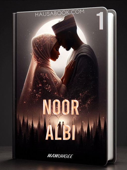 Noor Albi Book 1 Hausa Novel By Mamuhgee