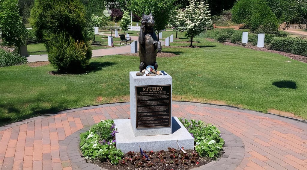 The Legacy of Sgt. Stubby Inspiring Generations