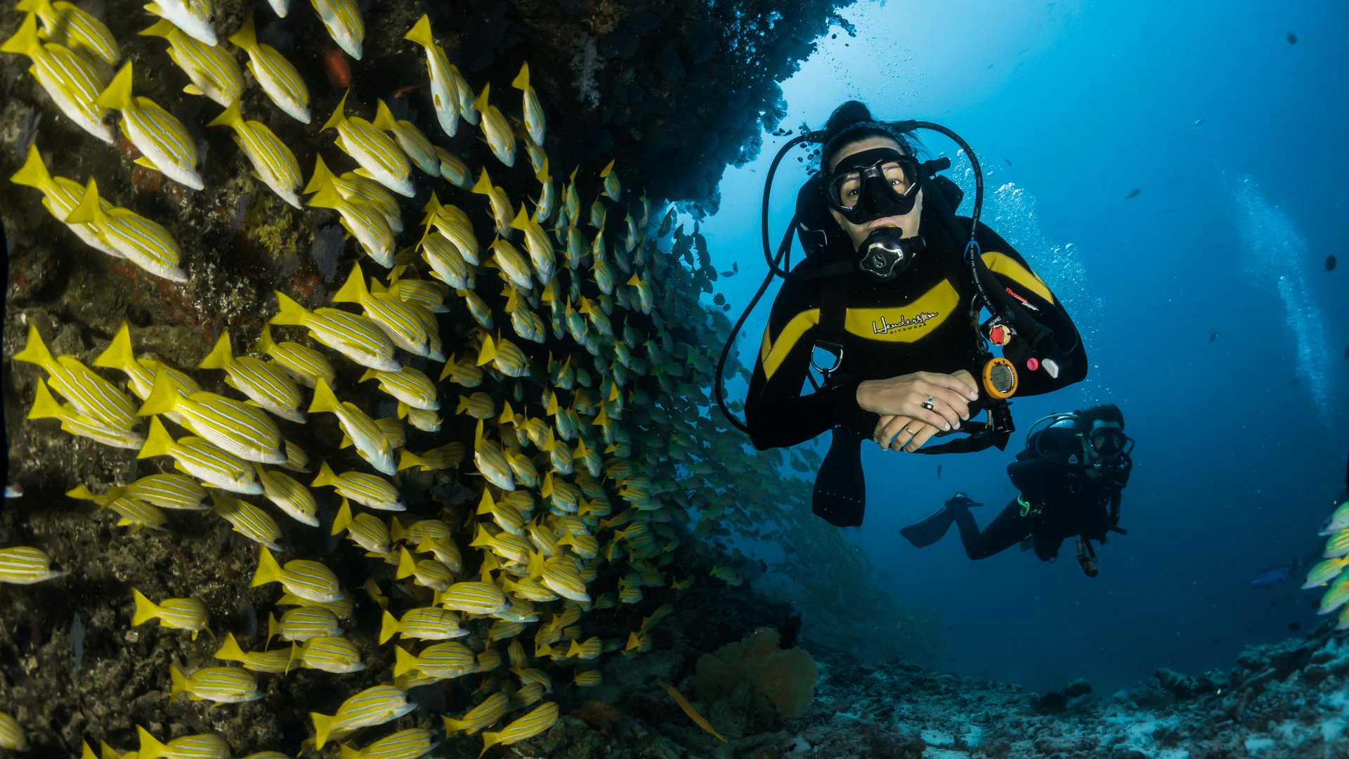 DiveSpot - Discover World-Class Diving Destinations