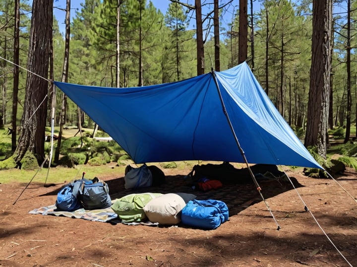 10X12-Tarp-4