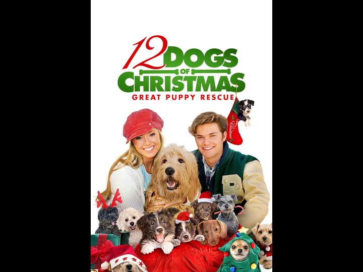 12-dogs-of-christmas-great-puppy-rescue-tt2325491-1