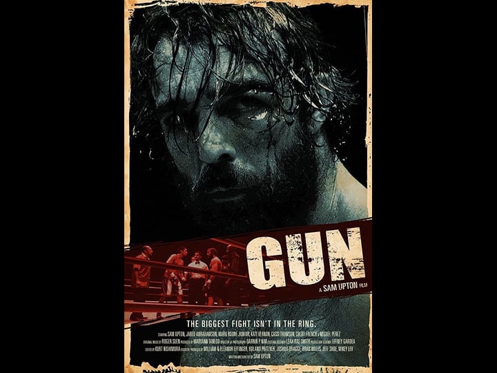 12-round-gun-4327925-1