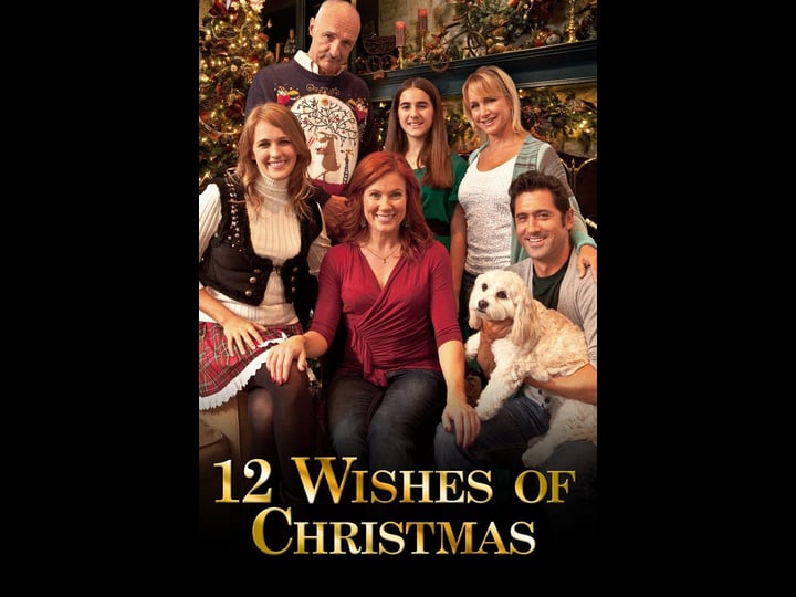 12-wishes-of-christmas-tt2072025-1