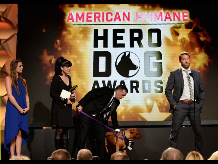 2016-hero-dog-awards-tt6059282-1