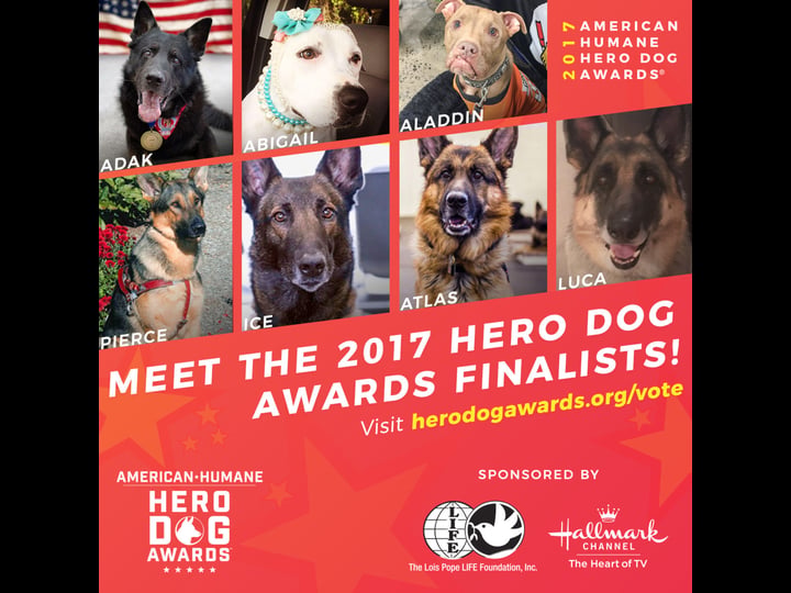 2017-hero-dog-awards-tt7440878-1