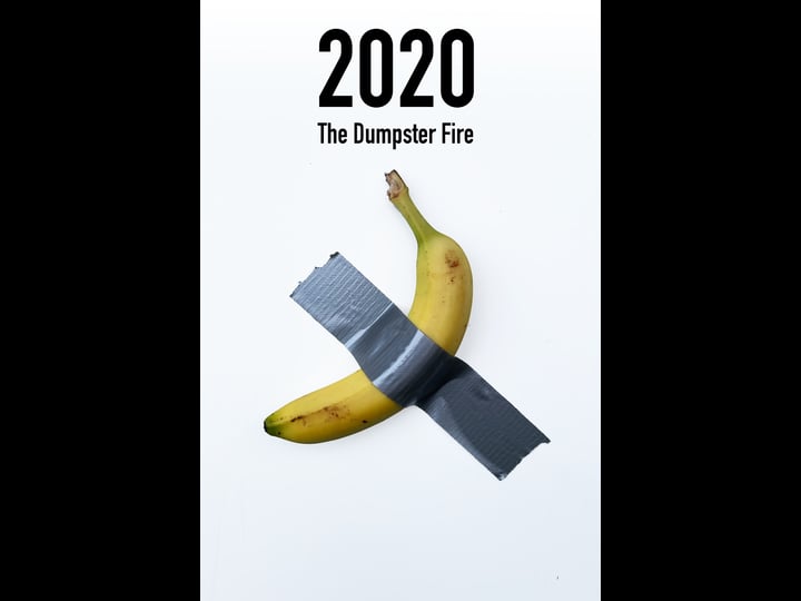 2020-the-dumpster-fire-4320967-1