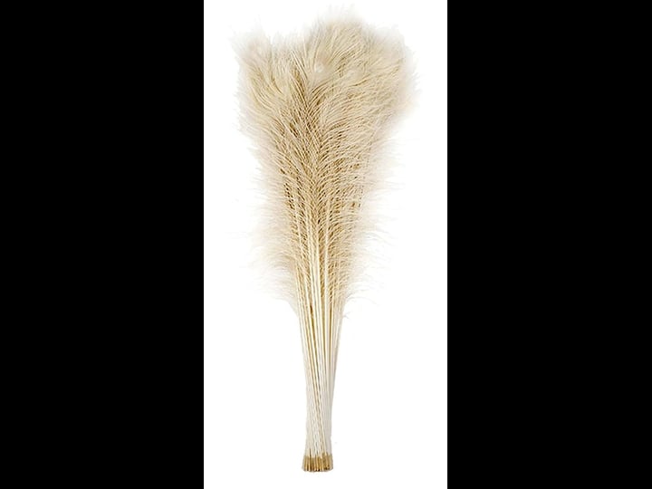 25-pcs-bleached-peacock-feathers-30-35-for-weddings-decoration-halloween-costumes-1