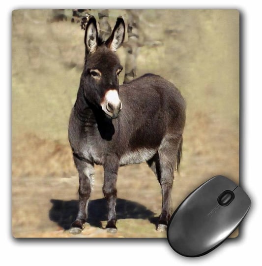 3drose-miniature-donkey-mouse-pad-8-by-8-inches-1