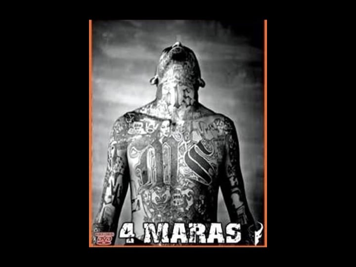 4-maras-4372617-1