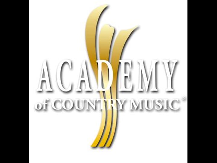 42nd-annual-academy-of-country-music-awards-tt1016070-1