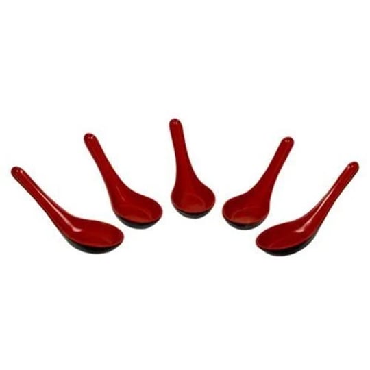 5-piece-chinese-soup-spoon-set-ekco-1