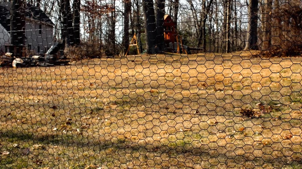 6-x-150-steel-hex-web-black-pvc-coated-dog-fence-1