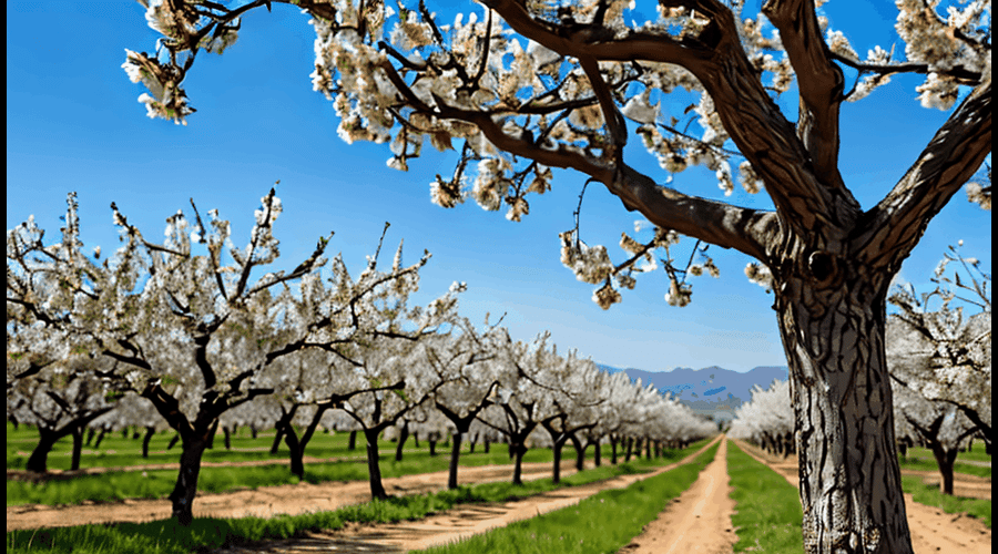 Our detailed roundup of Almond Breeze vanilla products highlights their creamy texture and subtle sweetness, comparing flavors and nutrition to help you choose the right almond milk for your taste preferences.