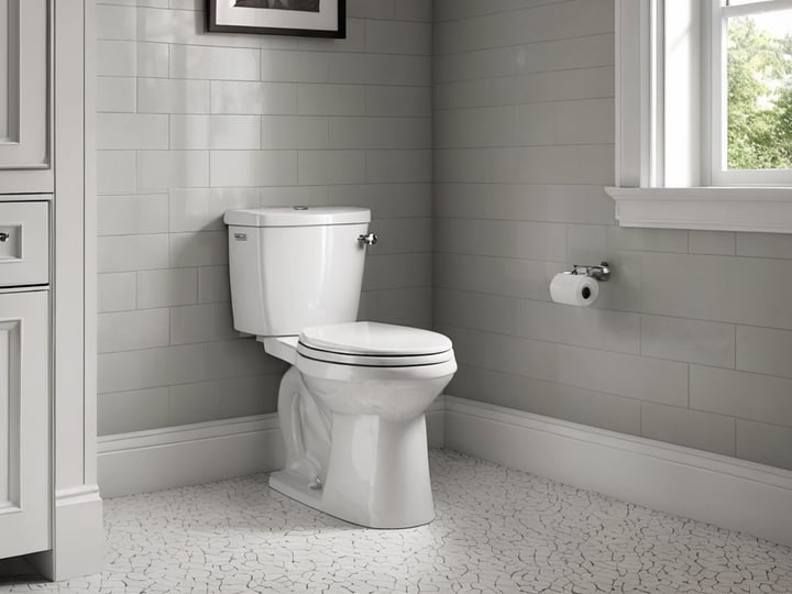 American-Standard-Toilet-2