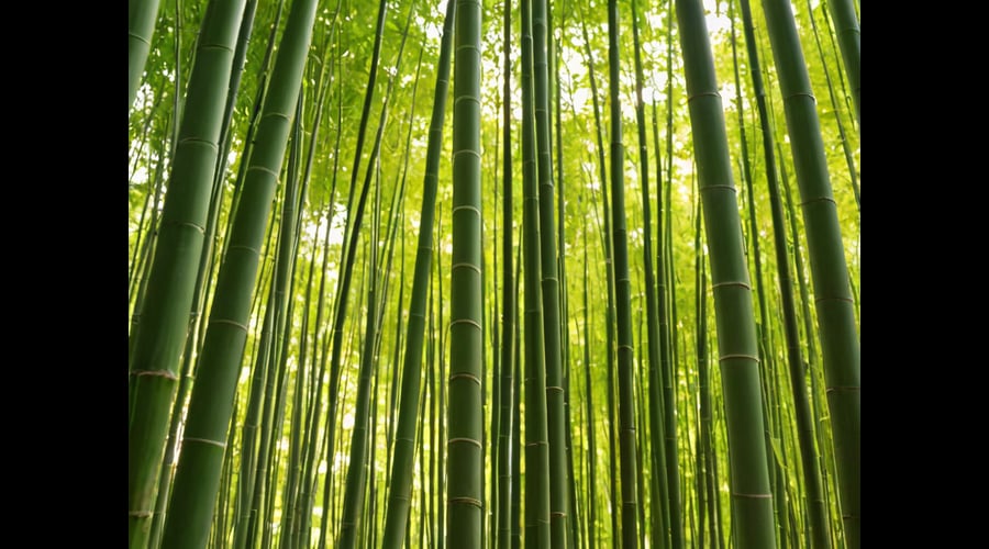 In this article, we present a comprehensive roundup of bamboo sticks, discussing their various uses, benefits, and the top-rated products available in the market. Explore the versatility and sustainability of bamboo sticks and discover their perfect applications for your lifestyle needs.