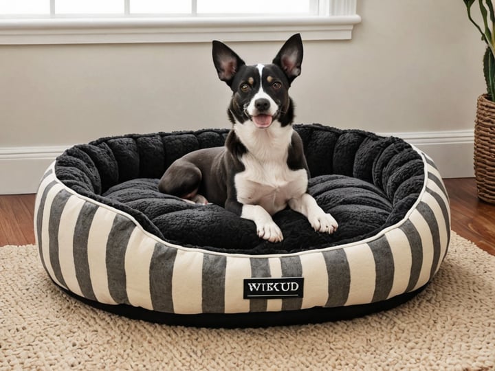 Black-And-White-Dog-Bed-2
