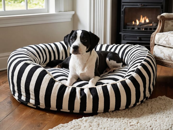 Black-And-White-Dog-Bed-4
