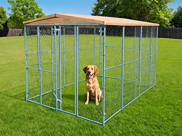 Chain-Link-Dog-Kennel-Panels-6